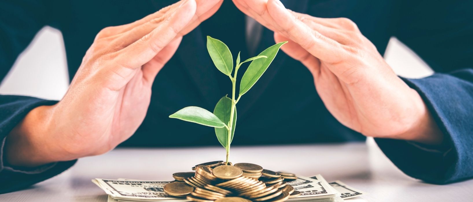 man in suit with hands held over sapling and pile of coins