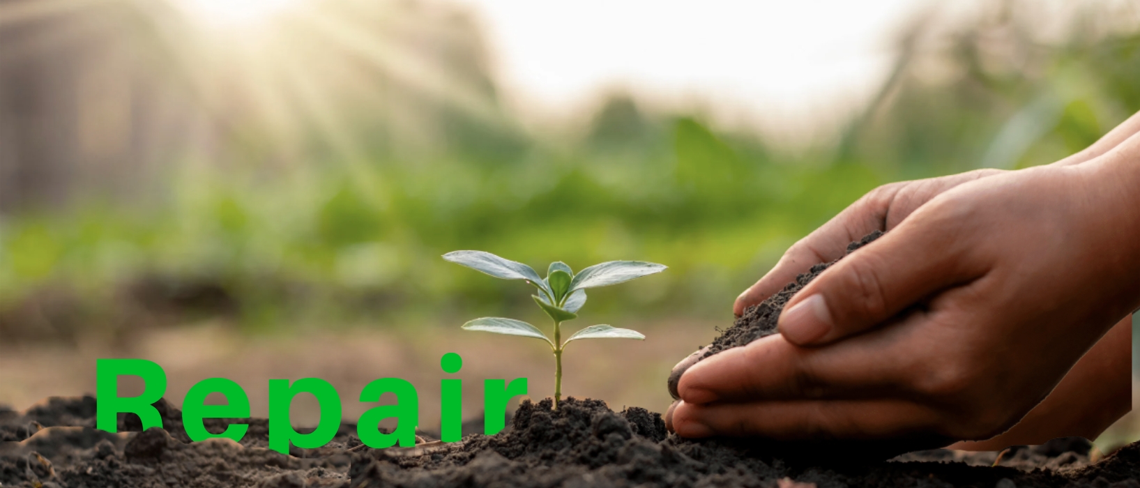 close up of hands planting sapling in dirt with 'repair' written in green lettering