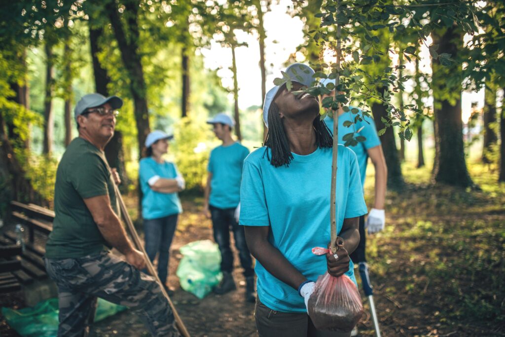 group of people planting trees in forest to repair the planet