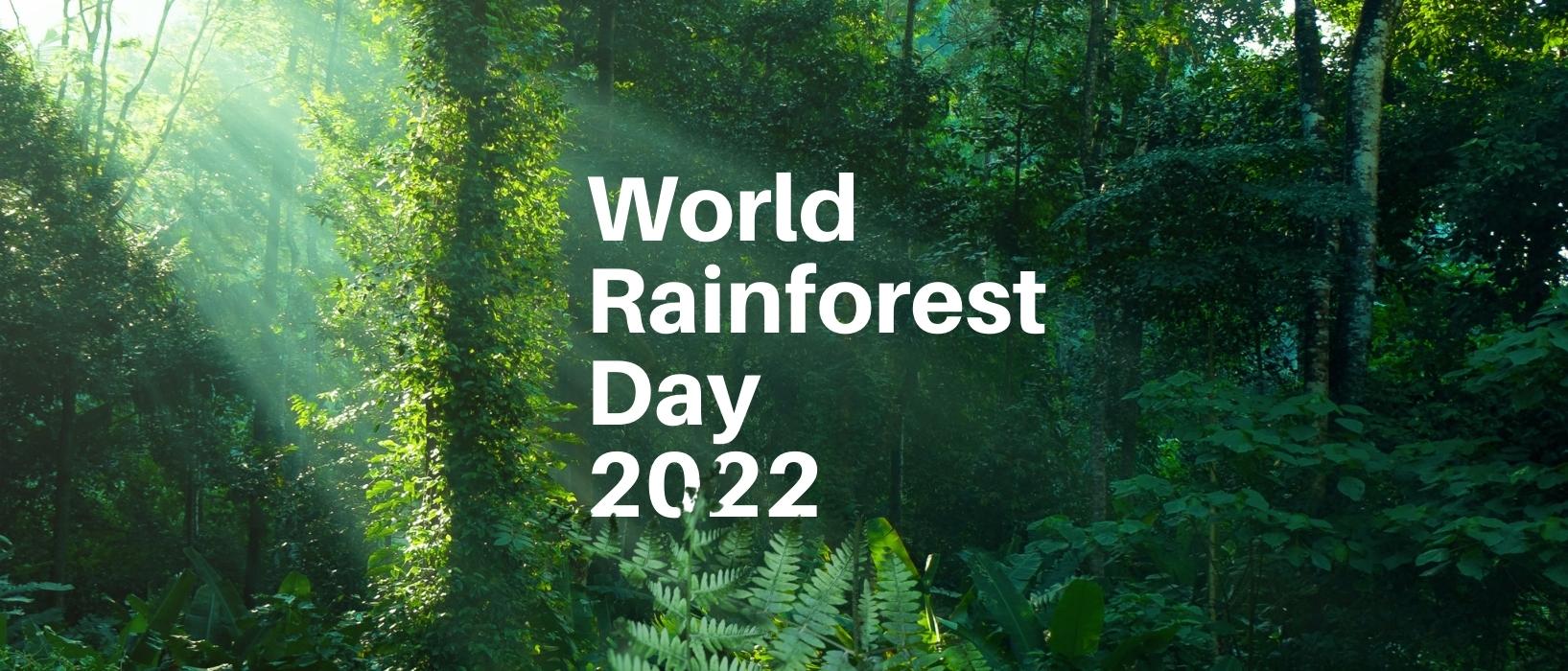 picture of rainforest with sunlight shining through branches, world rainforest day 2022 written in bold white letters